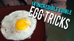 ۱۳ ترفند حیرت انگیز با استفاده از تخم مرغ در خانه