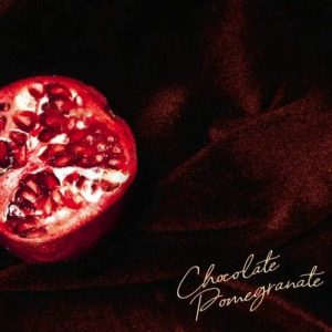 Download New Music Ari Lennox Chocolate Pomegranate