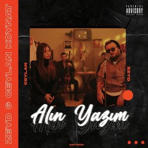 دانلود آهنگ جدید Ceylan Koynat به نام Alin Yazim