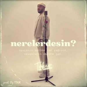 دانلود اهنگ ترکی Tekir بنام Nerelerdesin