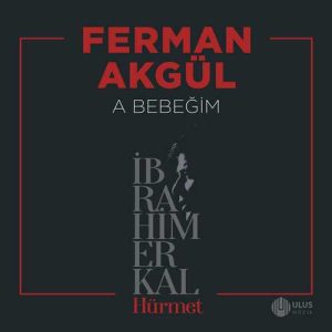 دانلود موزیک ترکیش Ferman Akgül بنام  A Bebeğim