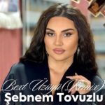 دانلود ریمیکس اهنگ شبنم توزلو Şebnem Tovuzlu بنام Bext Üzüyü (Remix).mp3
