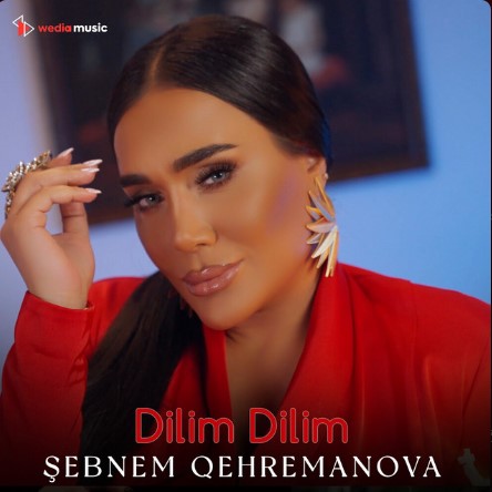 Şebnem Qehremanova Yeni Şarkısını Dilim Dilim indir