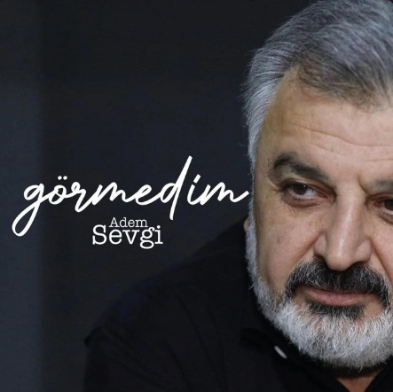 Adem Sevgi - Görmedim