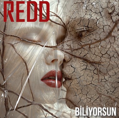 دانلود آهنگ Redd بنام Biliyorsun